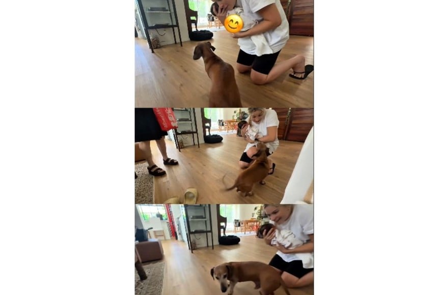 El tierno momento entre Vito, el bebé de Sofía Pachano, y  Apolo, su perro