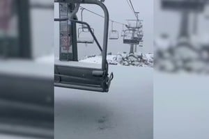 Las imágenes y videos que rápidamente se viralizaron en redes sociales muestran un contraste impactante: la vegetación de verano mezclada con la acumulación nívea.