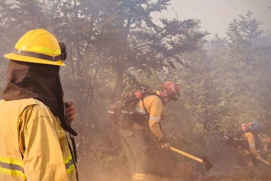 BRIGADISTAS SANTAFESINOS COMBATEN EL FUEGO EN CHOLILA.