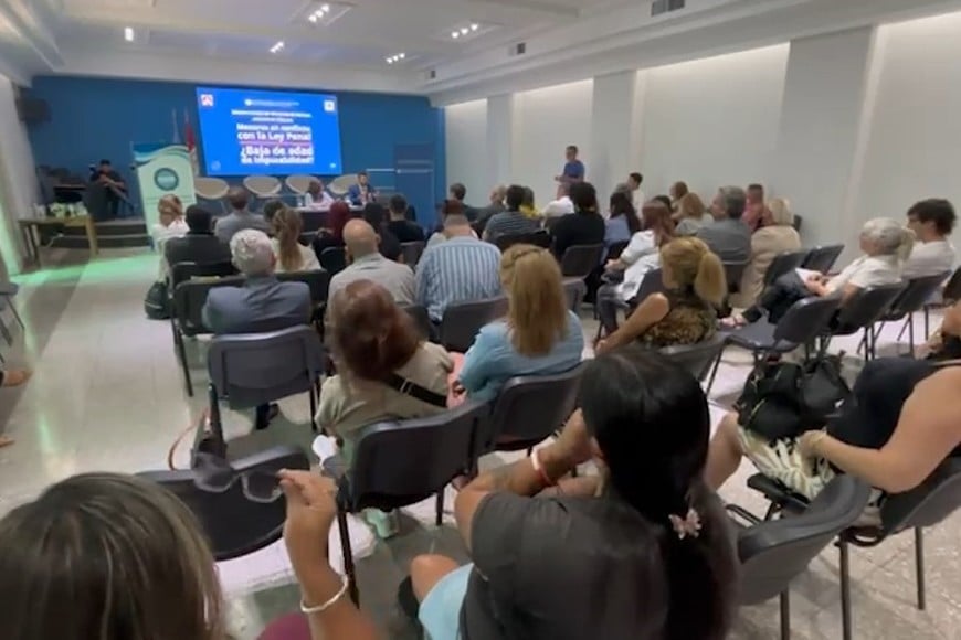 Especialistas en derecho expusieron durante la audiencia pública sobre imputabilidad.