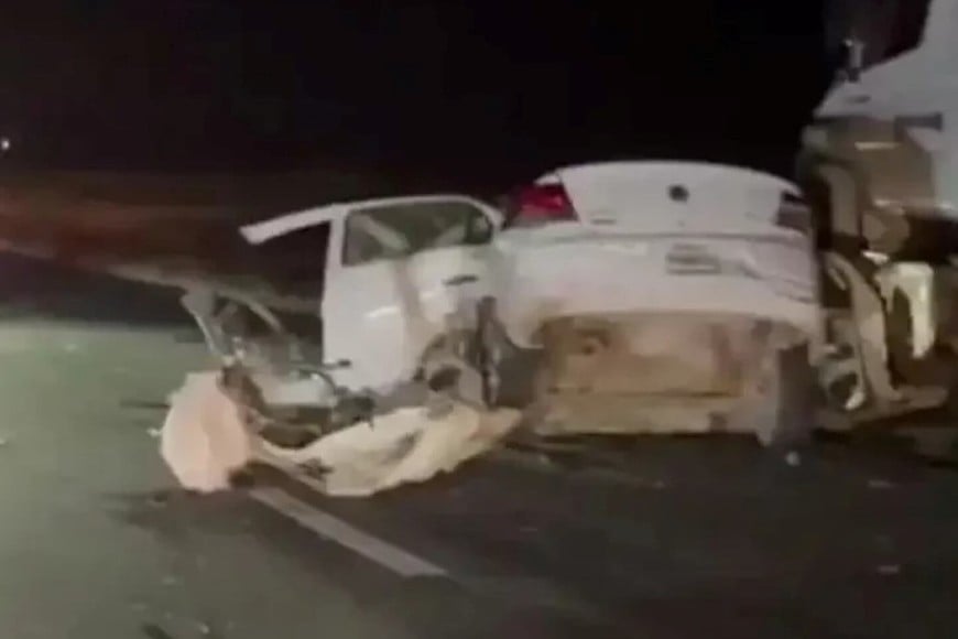 El hombre trató de evitar atropellar a los animales