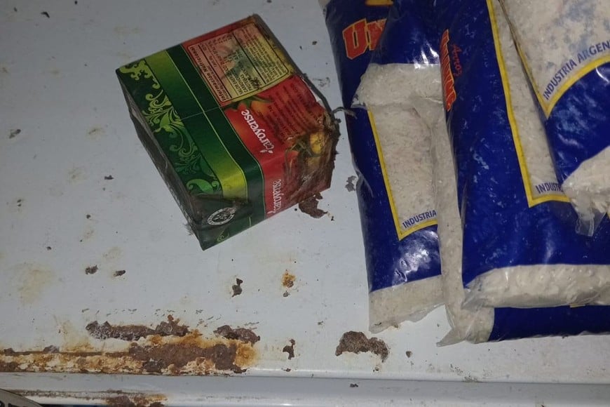 Los agentes constataron una serie de irregularidades vinculadas a la higiene del espacio