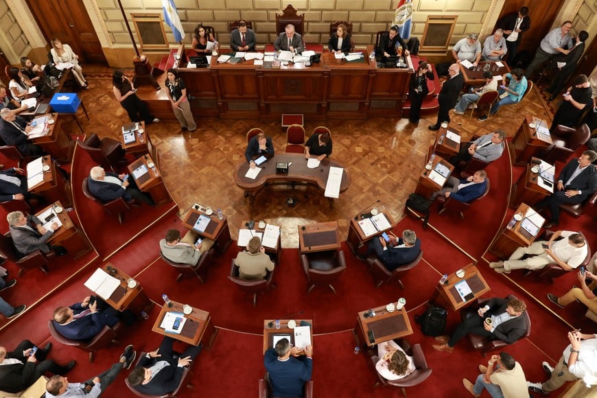 Senado - Felipe Michlig - febrero 2026