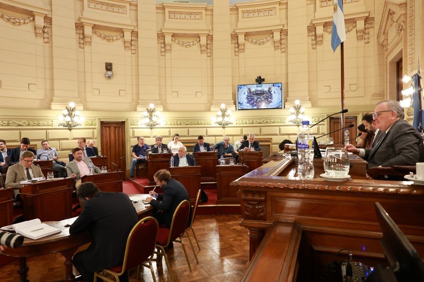 Senado - Felipe Michlig - febrero 2026