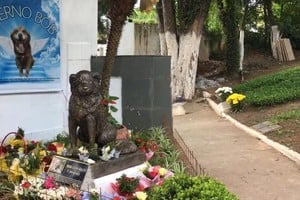 La sanción de la Ley Bob Coveiro no es solo un avance administrativo; es un acto de justicia poética.