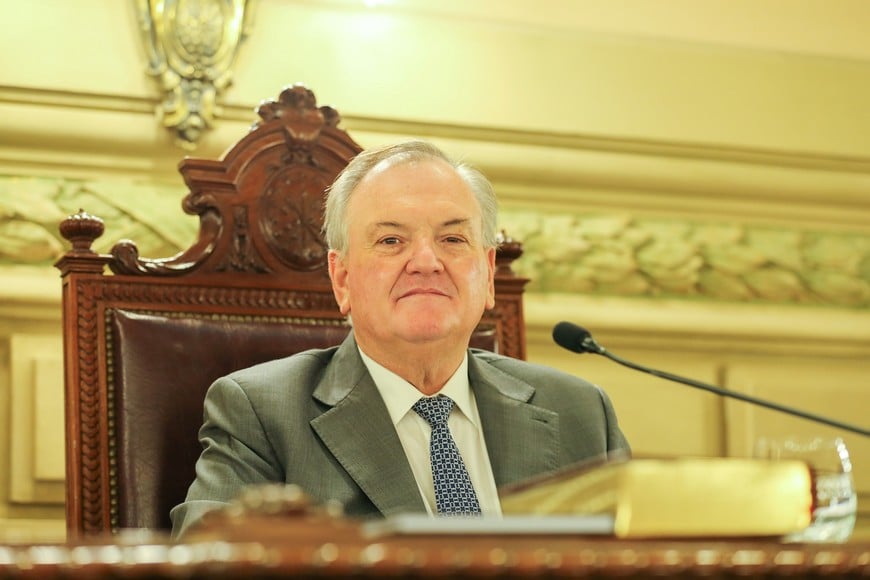 Senado - Felipe Michlig - febrero 2026