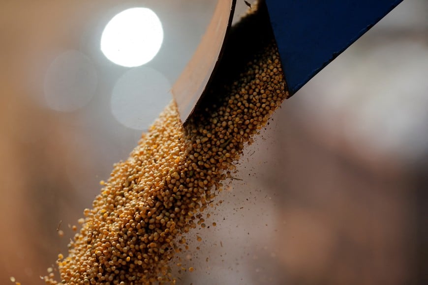 Grains are loaded on a truck, as Paraguay's 2025/26 soybean crop is on track to exceed 10 million tons and could become the largest in the country's history, analysts and producers said, with the key summer harvest approaching its final phase, in Santa Rita, Paraguay February 3, 2026. REUTERS/Cesar Olmedo