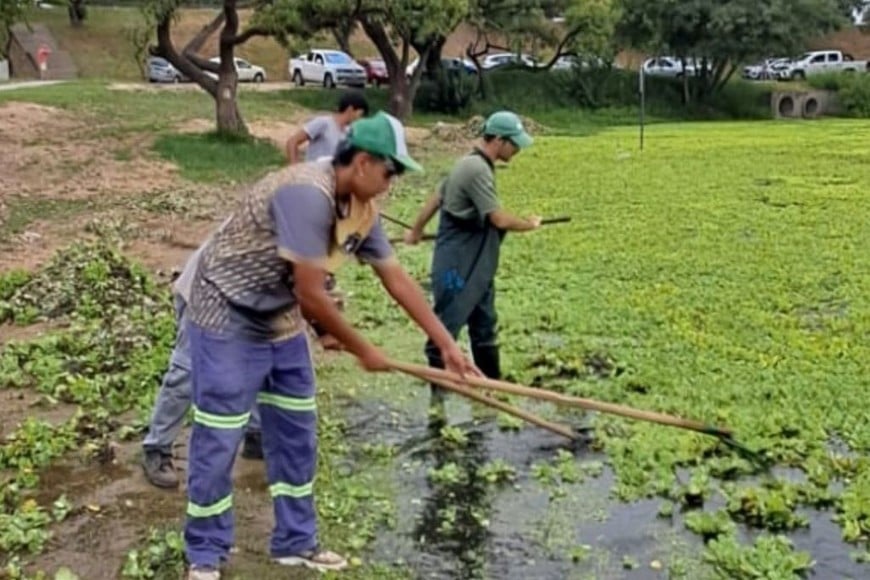 El operativo busca mejorar el estado del espejo de agua previo al fin de semana largo de Carnaval.