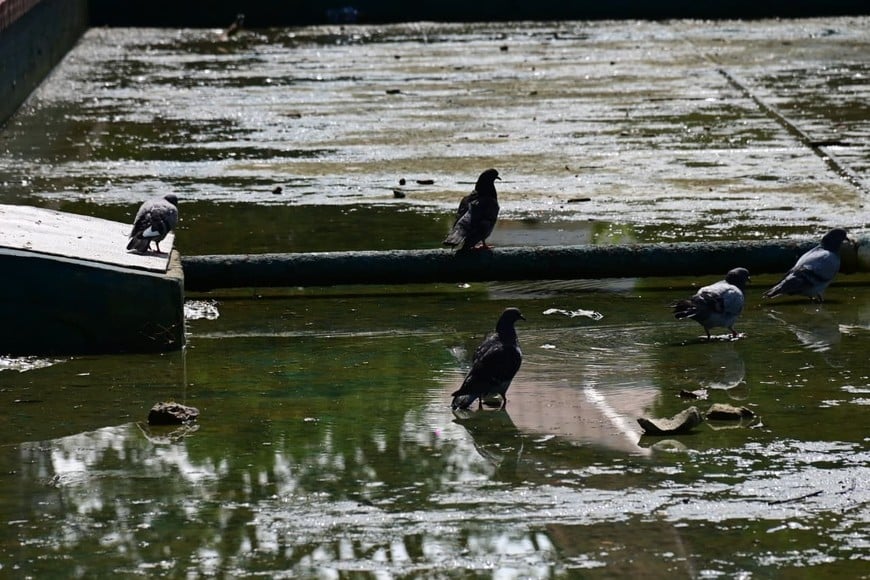 La fuente de la Plaza Colón. Flavio Raina.