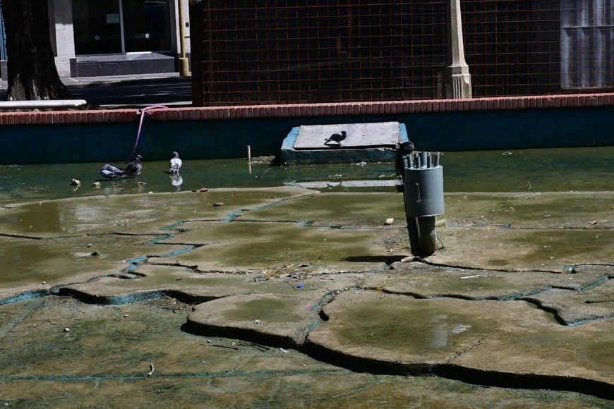 La fuente de la Plaza Colón. Flavio Raina.