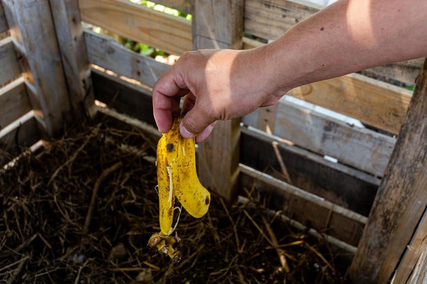 Del residuo a la tierra: el desafío de derribar mitos para instalar el compostaje en la vida urbana de Rosario