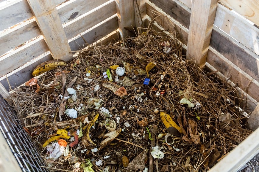 Del residuo a la tierra: el desafío de derribar mitos para instalar el compostaje en la vida urbana de Rosario