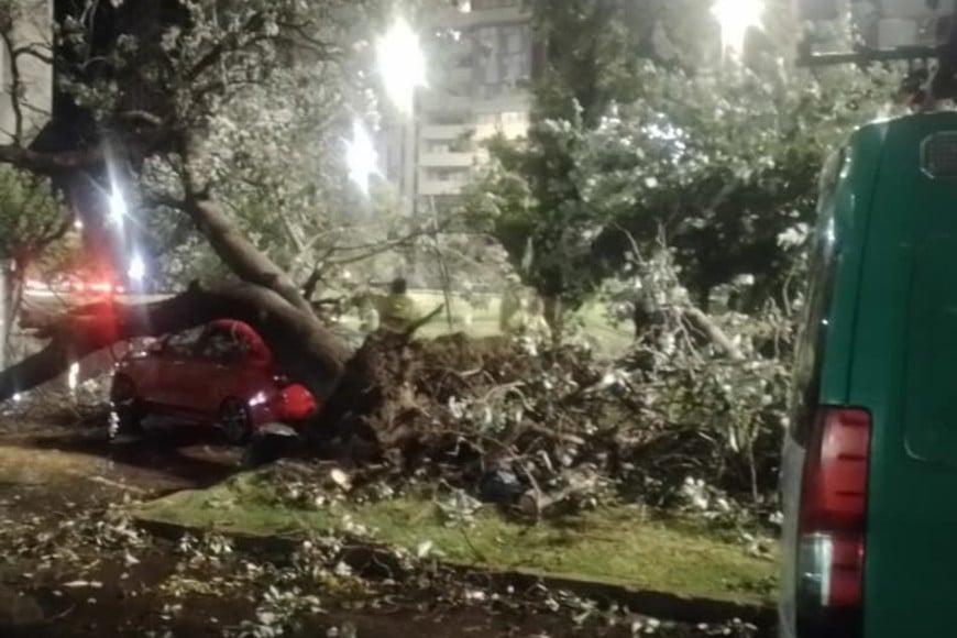 Foto: Roberto Ruciti