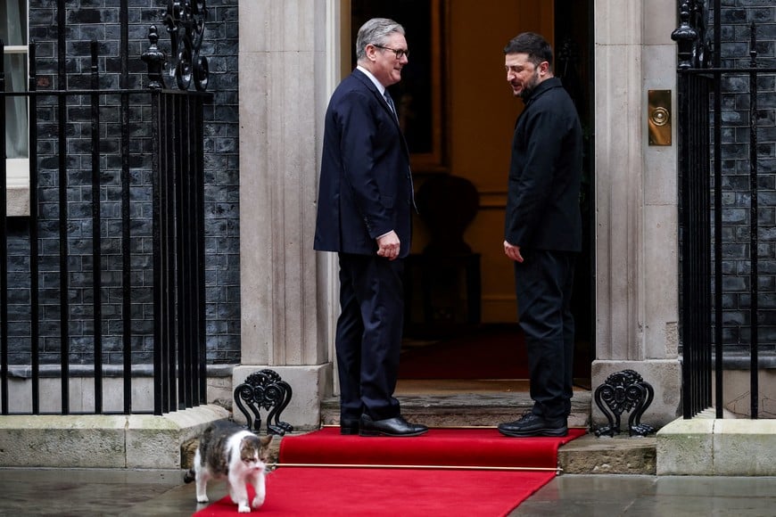 Ukrainian President Volodymyr Zelenskiy looks at Larry the cat as British Prime Minister Keir Starmer welcomes Zelenskiy at 10 Downing Street, on the day E3 partners France, Germany and Britain meet in London, Britain, December 8, 2025. REUTERS/Isabel Infantes     TPX IMAGES OF THE DAY
