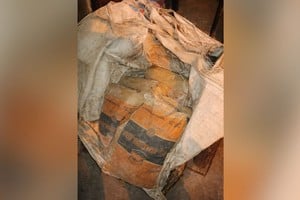 Un hombre de 47 años fue sorprendido con 4 bolsas de cal en Aristóbulo y Larrea. Foto: Prensa URI