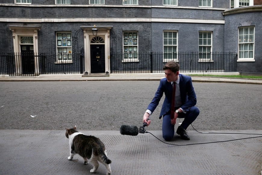 A television presenter poses next to Larry the Cat outside 10 Downing Street in London, Britain, April 12, 2022. REUTERS/Henry Nicholls     TPX IMAGES OF THE DAY
