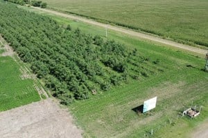 La Reserva Forestal de Pilar constituye un espacio de captura de carbono y biodiversidad.