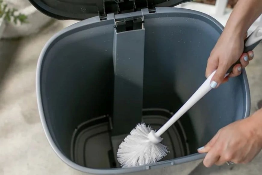 Sus propiedades naturales pueden disminuir la presencia de bacterias