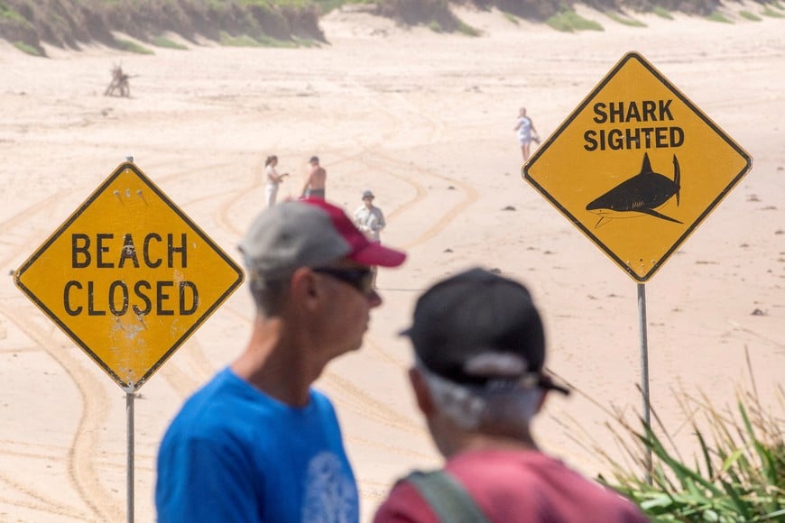 People stand next to warning signs in place, and beaches are closed after a surfer suffered a shark attack today at Dee Why Beach in Sydney, Australia, January 19, 2026. REUTERS/Jeremy Piper     TPX IMAGES OF THE DAY