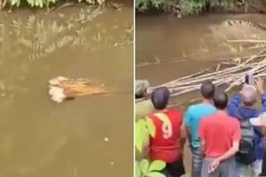 Tragedia en el río: el ataque ocurrió mientras la mujer recolectaba almejas, una actividad habitual en la zona.