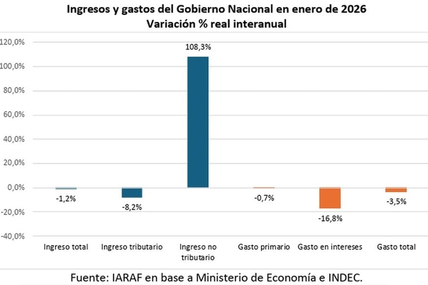 Los números de enero según el análisis de Nadin Argañaraz.