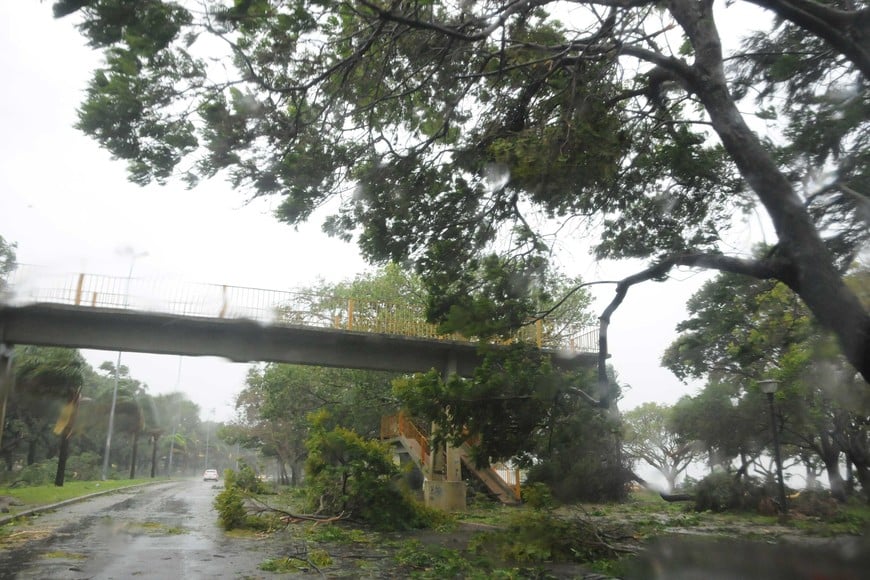 Las consecuencias de aquel temporal duraron varios días. Foto: Flavio Raina