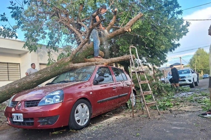 Árboles y postes caídos: el viento derribó estructuras y complicó la circulación en varios puntos.