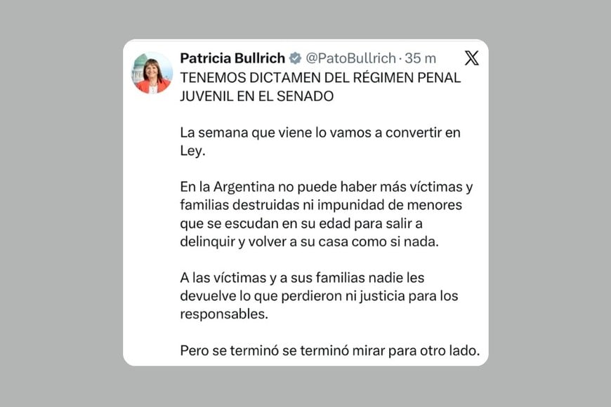 La publicación de Bullrich.