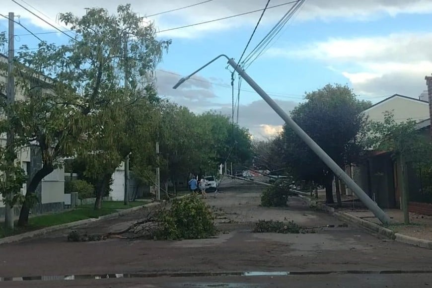 Árboles y postes caídos: el viento derribó estructuras y complicó la circulación en varios puntos.