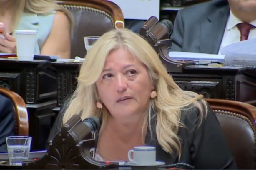 Karina Maureira, diputada nacional. Crédito: Diputados