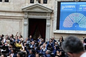 El momento de la votación en general. Crédito: Agencia Noticias Argentinas / Claudio Fanchi