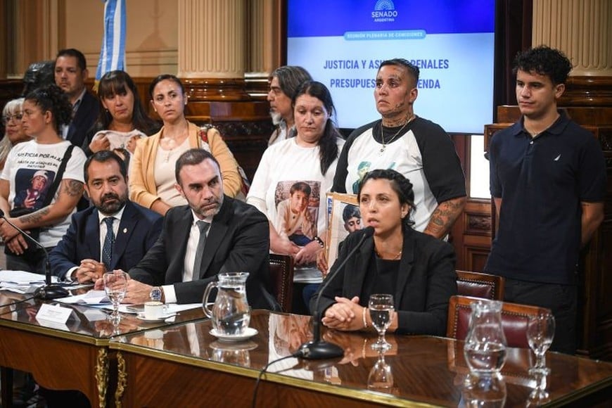 Romina Monzón, la mamá de Jeremías, expuso ante las comisiones del Senado.