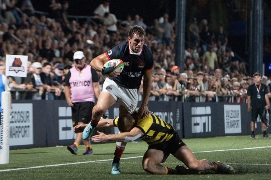 Capibaras Foto: Martín Prego.