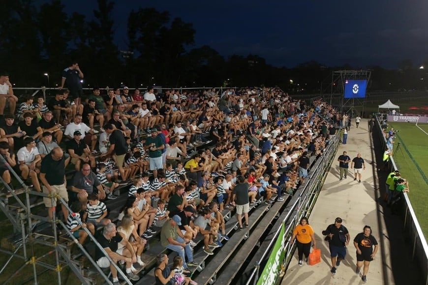 Rosario recibió a Capibaras XV en el debut. Crédito: Fernando Nicola