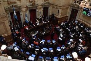 El Senado nacional, con sesiones clave en la última semana de extraordinarias. Foto: Archivo.
