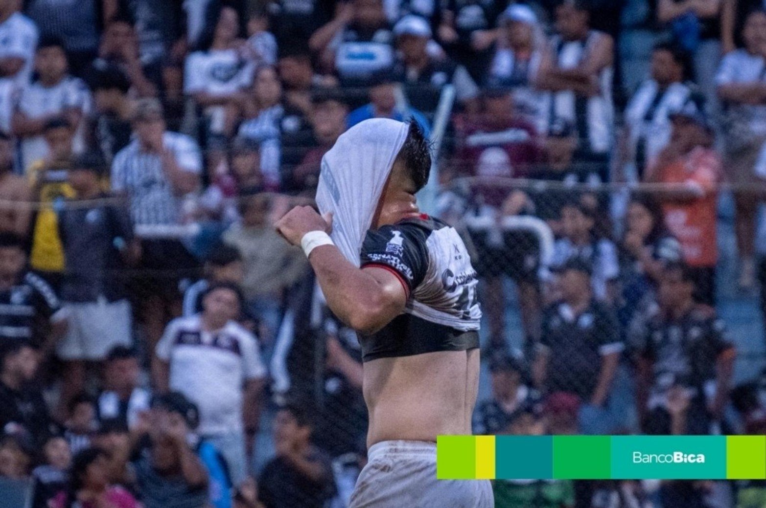 Galería BICA: Colón-Central Norte