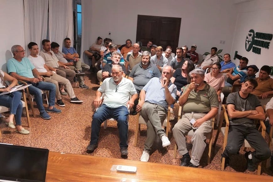 A partir de 2026, el SENASA implementa la SIGSA App Vacunación para la carga obligatoria y ágil de actas de fiebre aftosa y brucelosis, facilitando el registro digital de movimientos