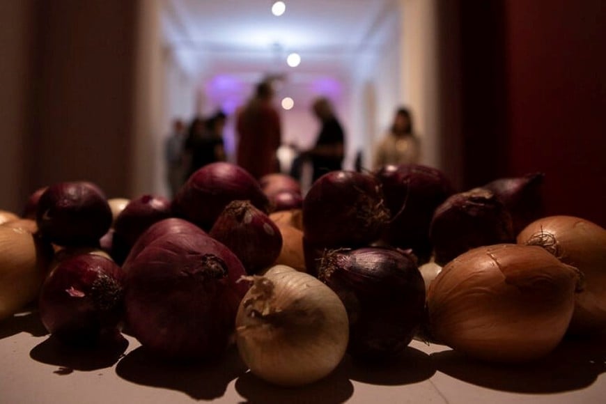 Gentileza Museo Rosa Galisteo