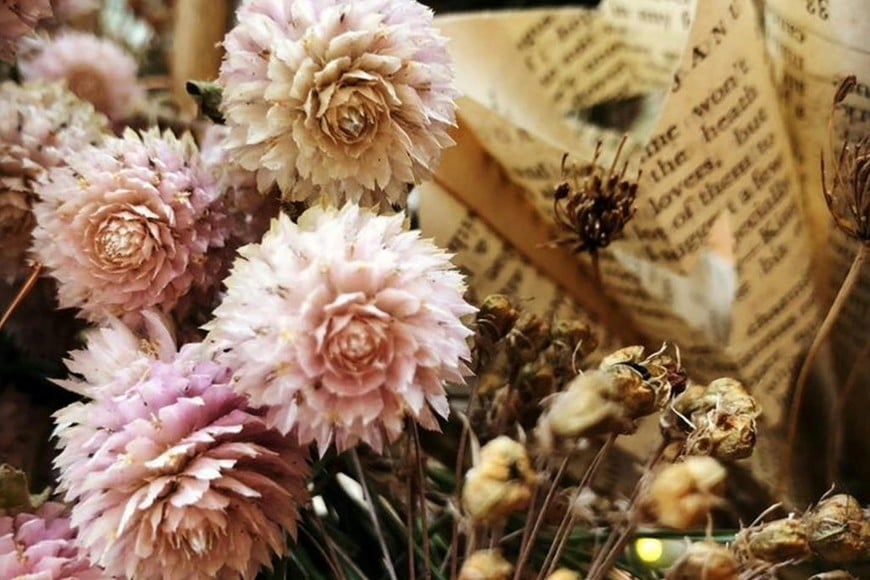 La ubicación y el cuidado influyen en la energía que circula dentro del hogar.