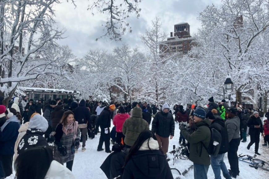 Las imágenes son virales.