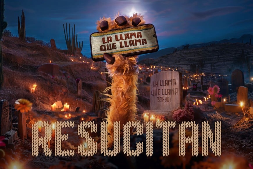 La Llama que Llama está de vuelta y en un formato renovado. Crédito: Personal