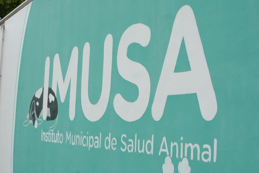 El Imusa promueve la sanidad animal, pero si la ciudadanía no toma conciencia... Archivo.