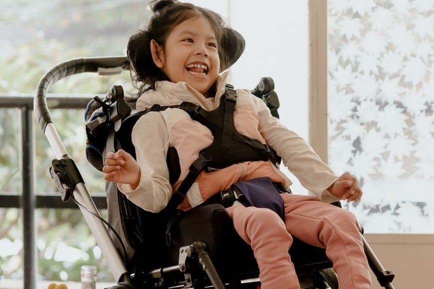 Este sistema establece el marco para servicios como rehabilitación, transporte, educación especial y acompañamiento terapéutico