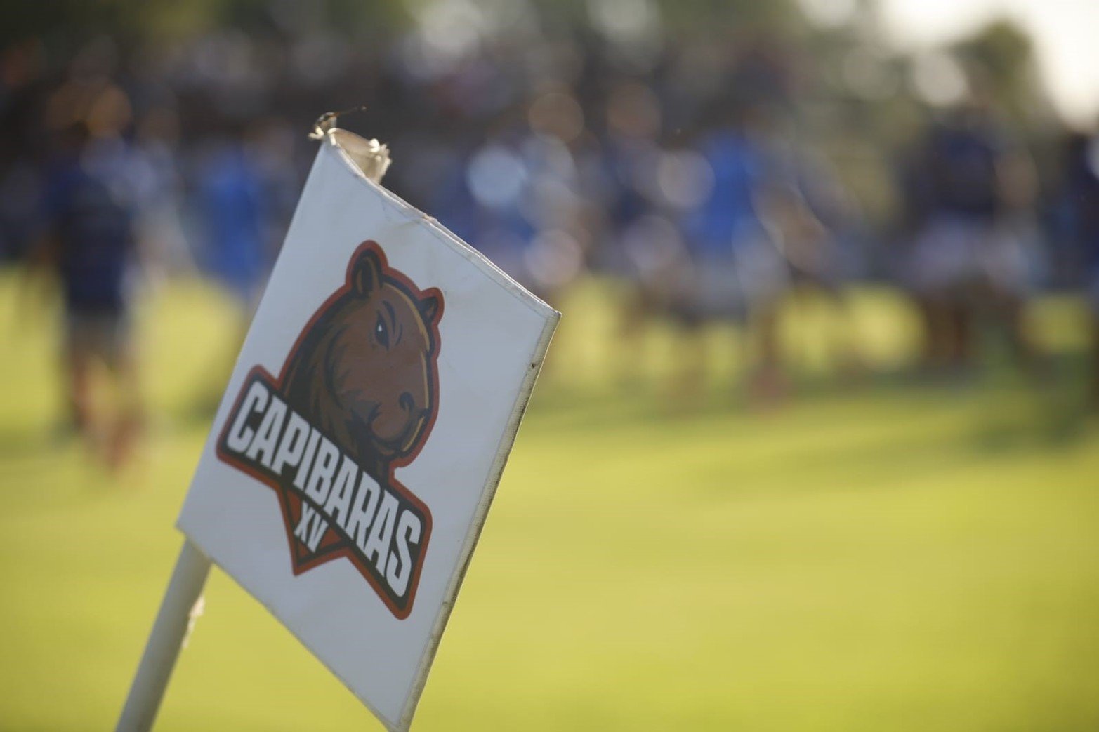 Capibaras XV-Cobras | Super Rugby Americas Fecha 2 | Santa Fe Rugby. 