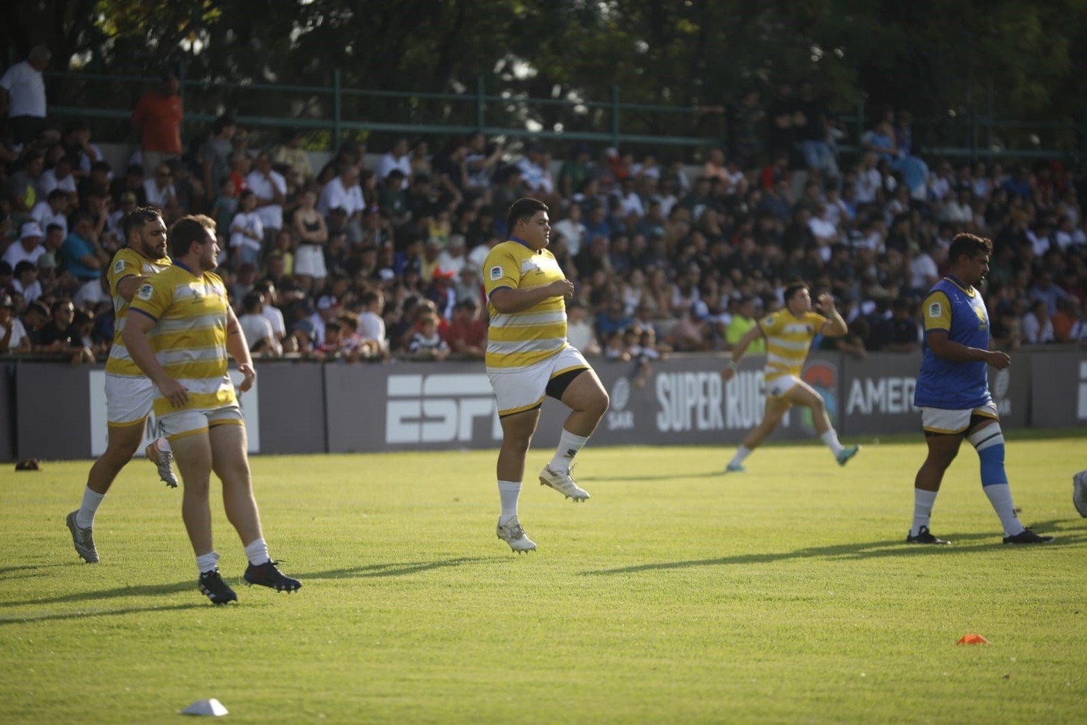 Cobras realiza la entrada en calor.