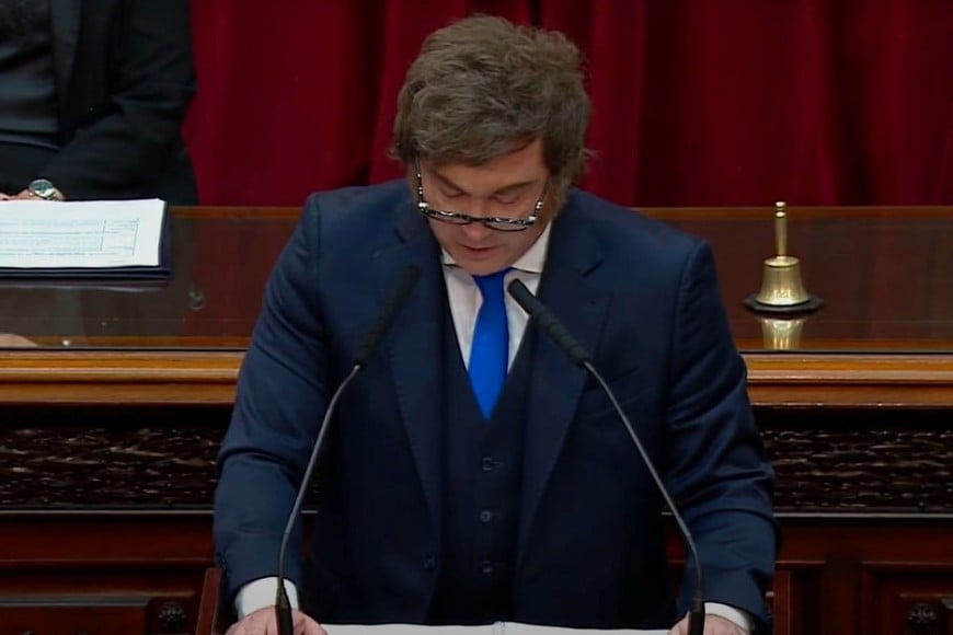 Javier Milei este domingo en el Congreso.