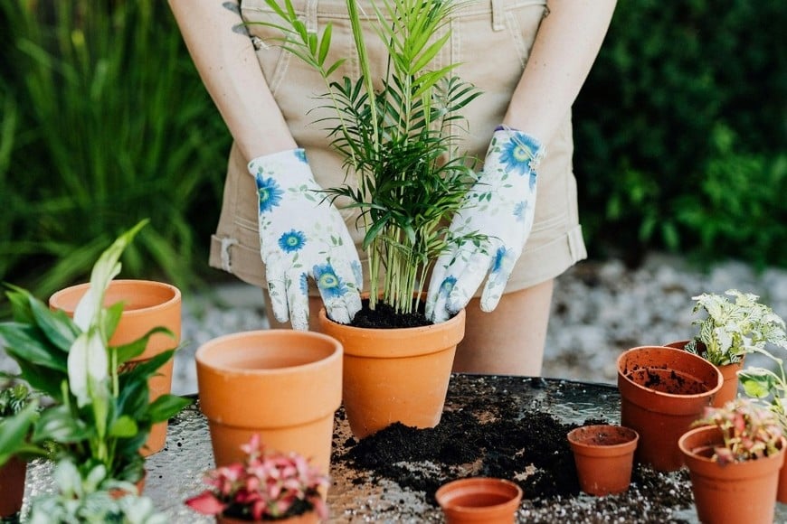 Reutilizar desechos orgánicos promueve una jardinería más consciente.