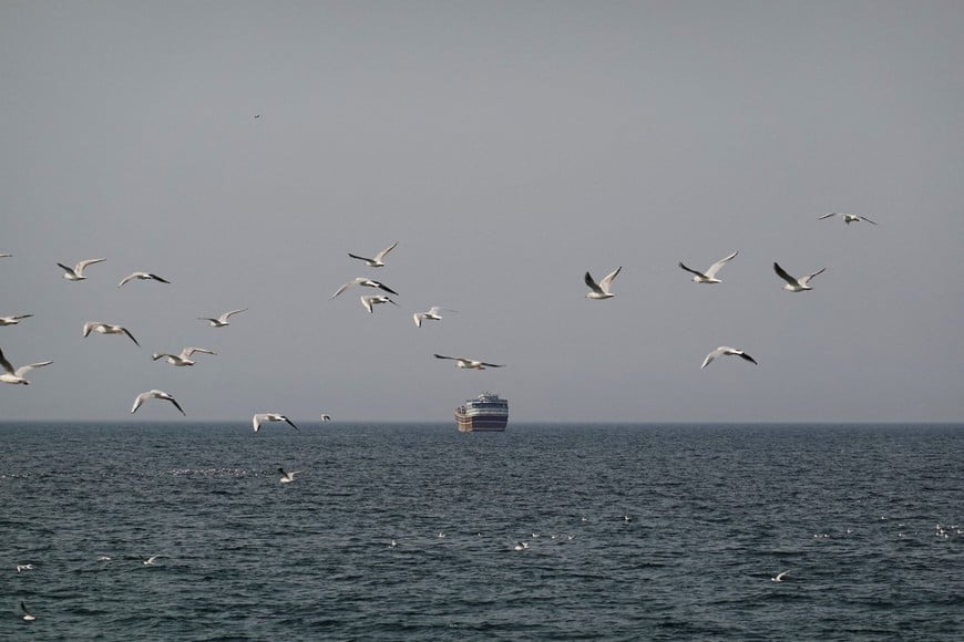 Birds fly near a boat in the Strait of Hormuz amid the U.S.-Israeli conflict with Iran, as seen from Musandam, Oman, March 2, 2026.REUTERS/Amr Alfiky