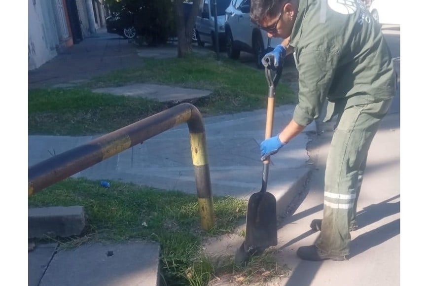 En la tarde de ayer se realizaron tareas de limpieza.