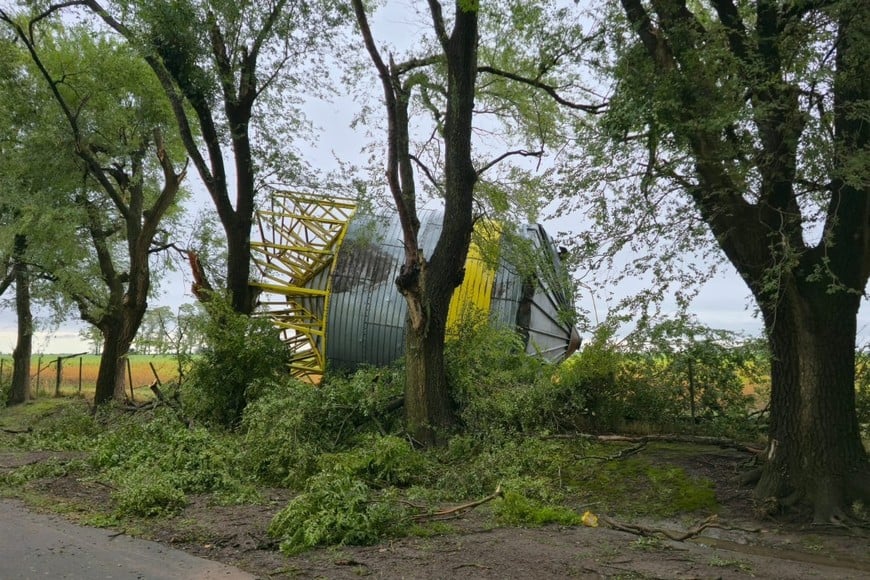 Personal comunal trabajando en despejar el camino al cementario.